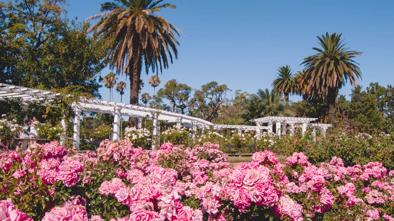Rosedal de Palermo